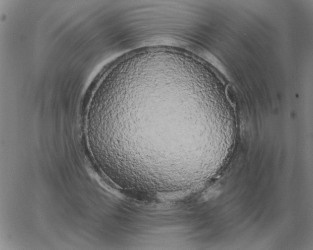 X0000067391116200604131925