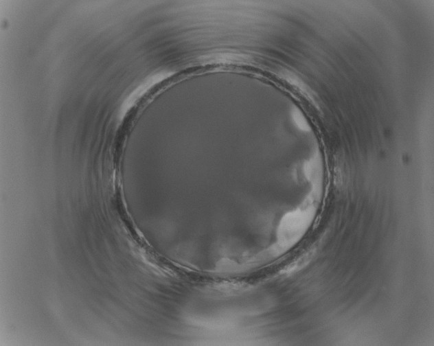 X0000067391117200604131925