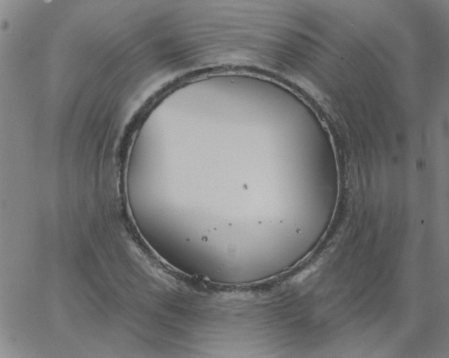 X0000067391118200604131925