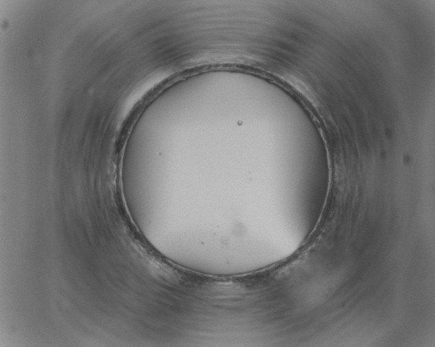 X0000067391119200604131925