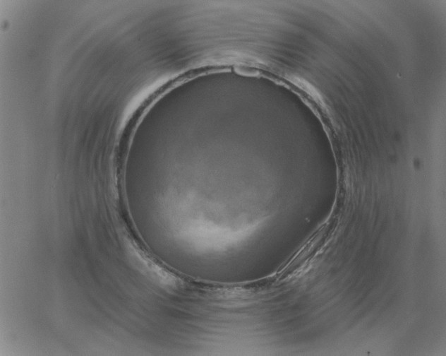 X0000067391120200604131925