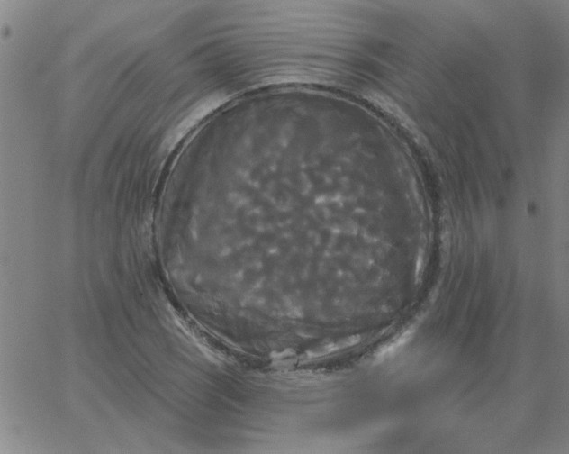 X0000067391121200604131925