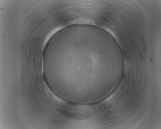 X0000067391123200604131925