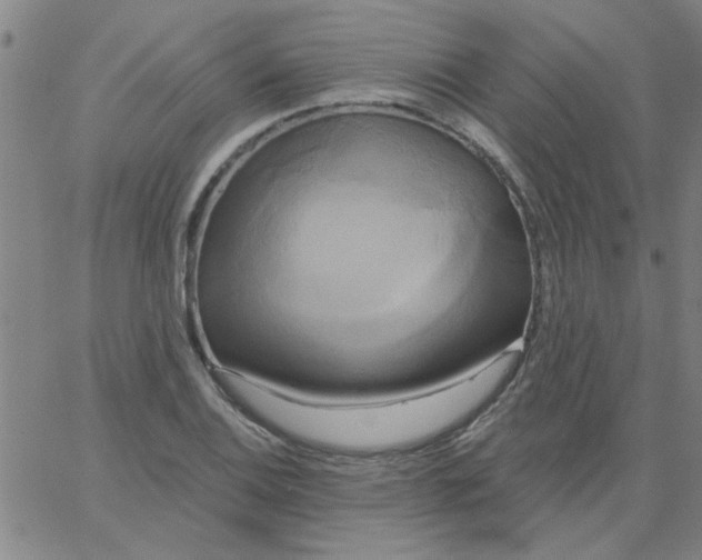 X0000067391124200604131925