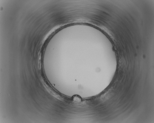 X0000067391126200604131925