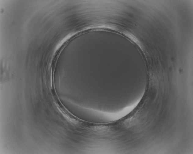 X0000067391127200604131925