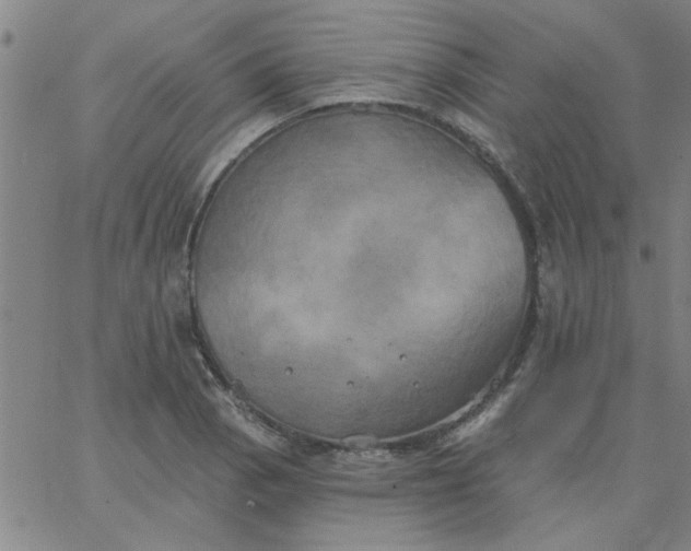 X0000067391129200604131925