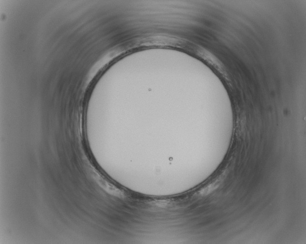 X0000067391130200604131925