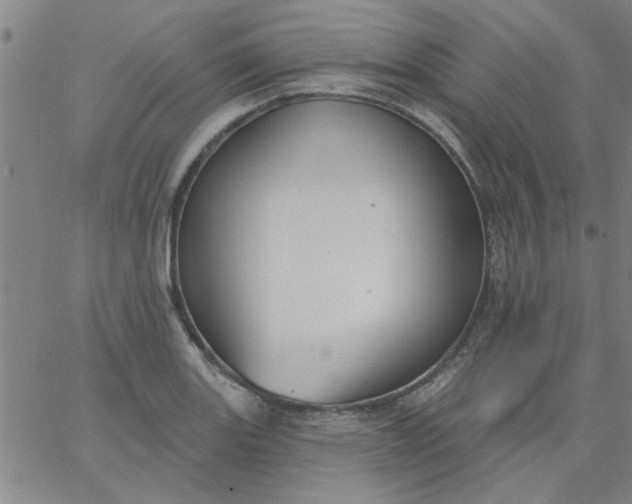 X0000067391131200604131925