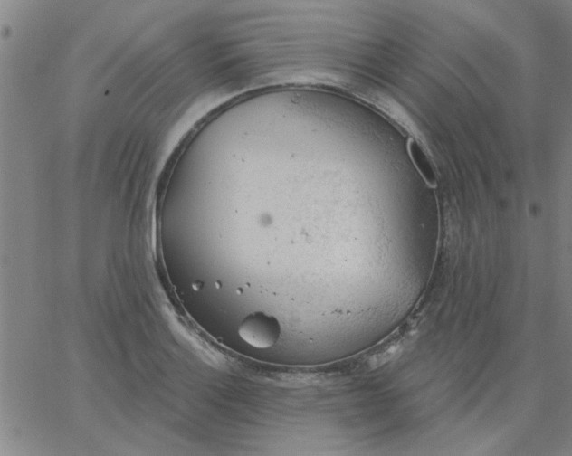 X0000067391132200604131925