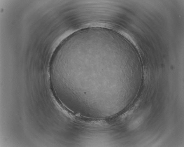 X0000067391133200604131925