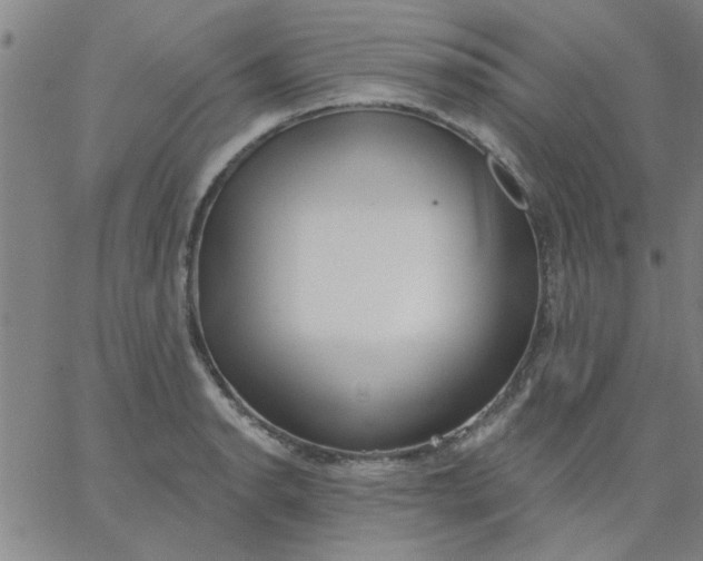 X0000067391134200604131925