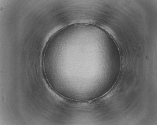 X0000067391135200604131925