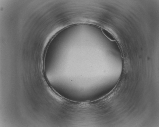 X0000067391136200604131925