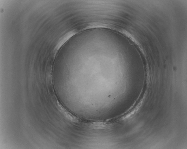 X0000067391137200604131925