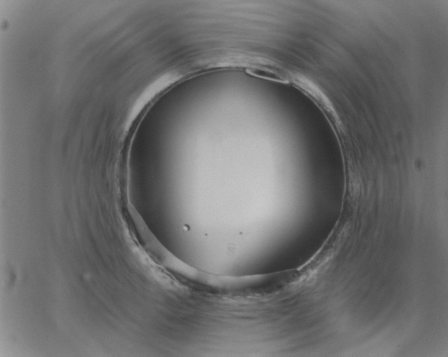 X0000067391138200604131925