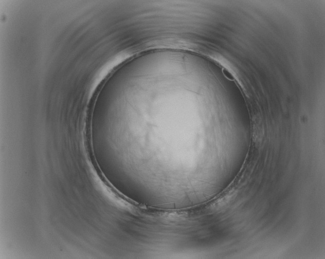 X0000067391139200604131925