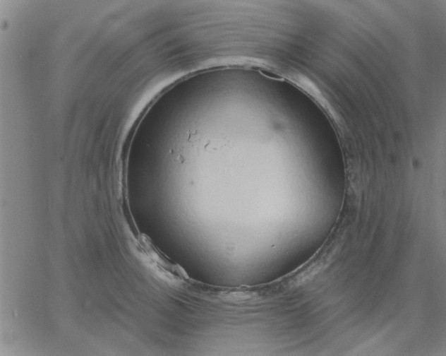 X0000067391140200604131925