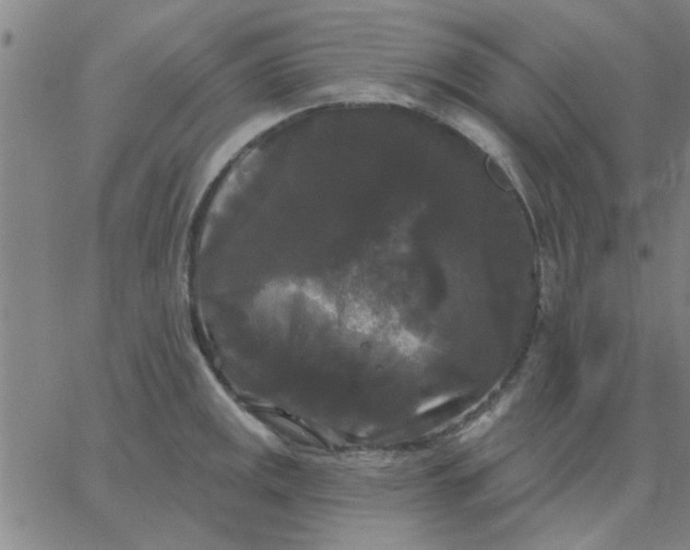 X0000067391141200604131925