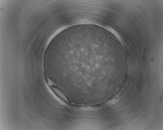 X0000067391142200604131925