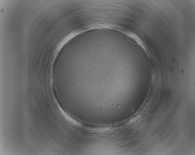 X0000067391143200604131925