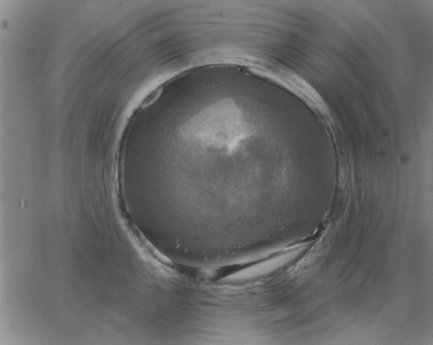 X0000067391144200604131925