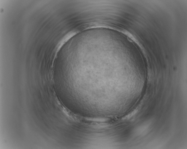 X0000067391145200604131925