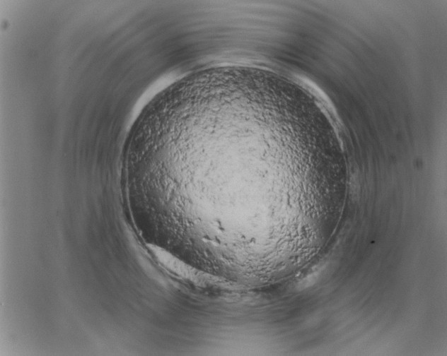 X0000067391146200604131925