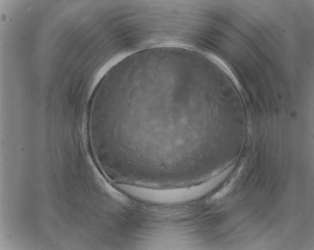 X0000067391149200604131925