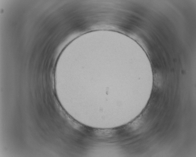 X0000067391150200604131925