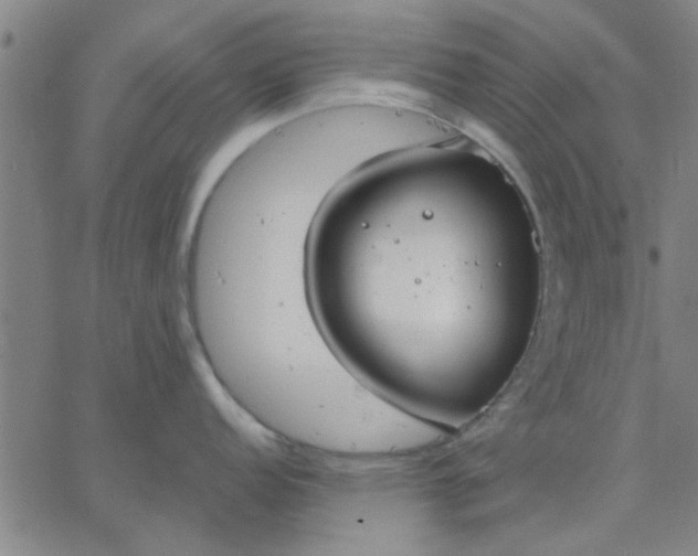 X0000067391152200604131925