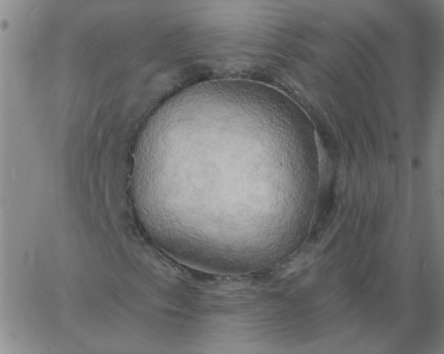 X0000067391153200604131924