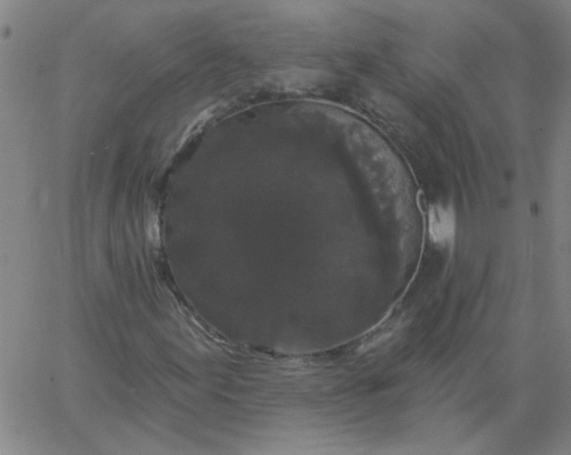 X0000067391155200604131924