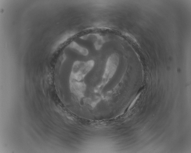 X0000067391159200604131924