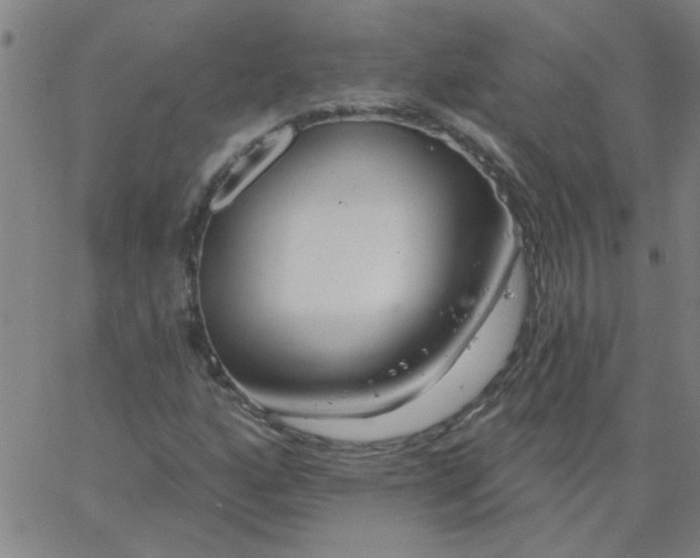 X0000067391160200604131924