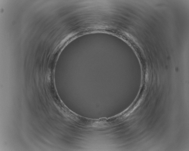 X0000067391161200604131924