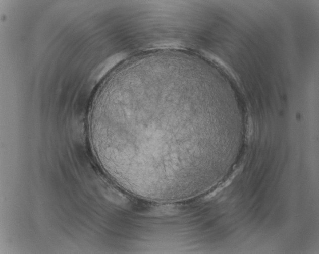 X0000067391162200604131924