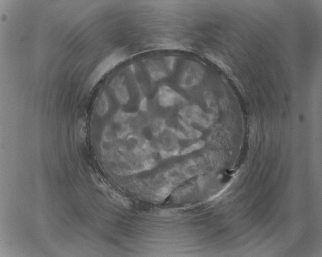 X0000067391163200604131924