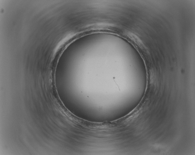 X0000067391164200604131924