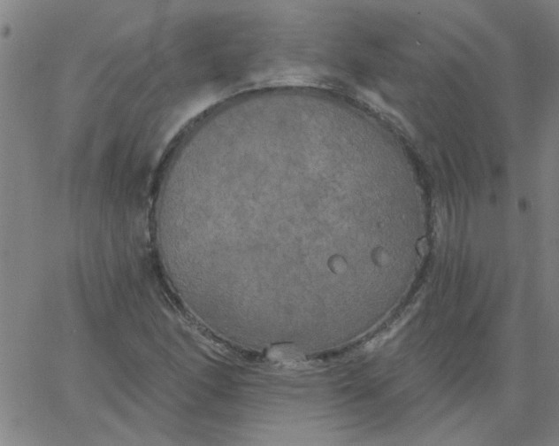 X0000067391166200604131924