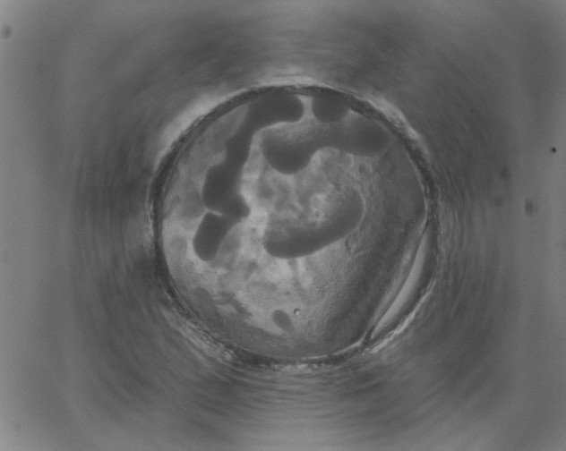 X0000067391167200604131924