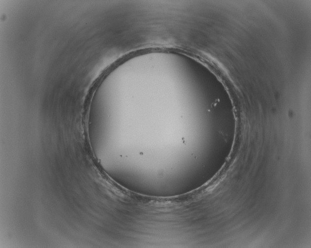 X0000067391168200604131924