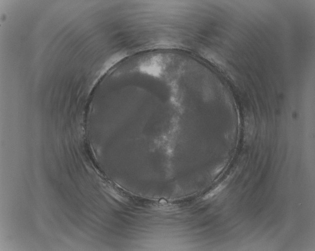 X0000067391170200604131924