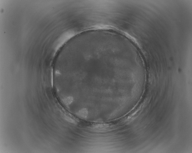 X0000067391171200604131924