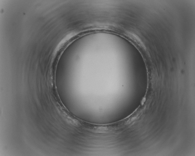 X0000067391172200604131924