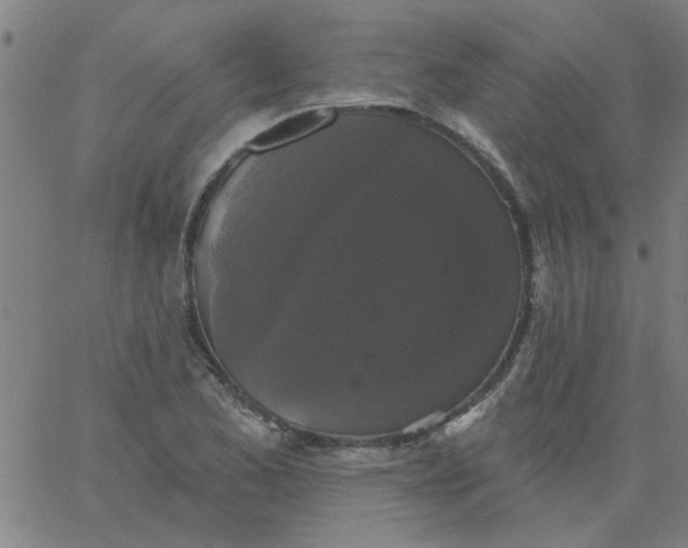 X0000067391173200604131924