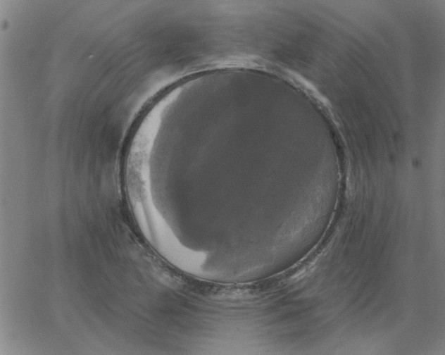 X0000067391174200604131924