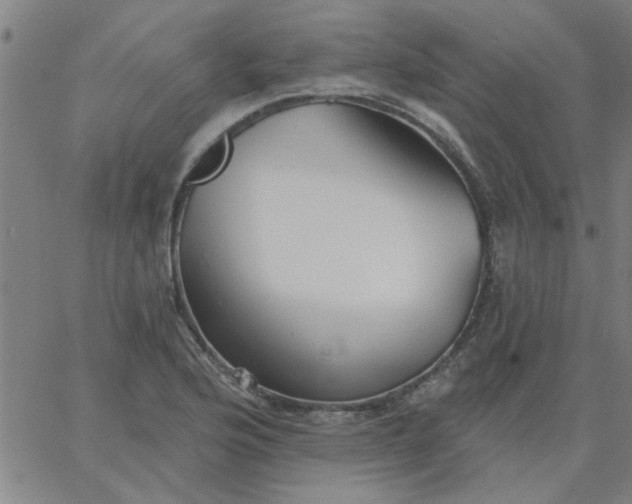 X0000067391176200604131924