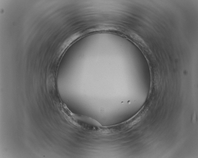 X0000067391177200604131924