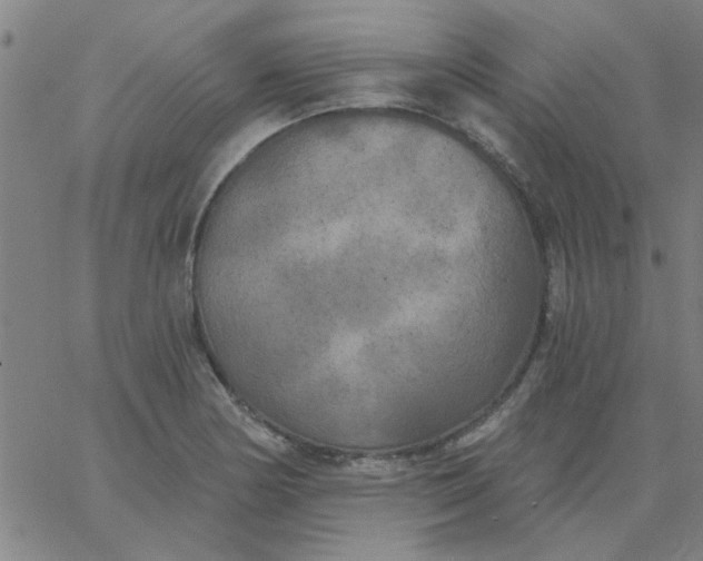 X0000067391178200604131924